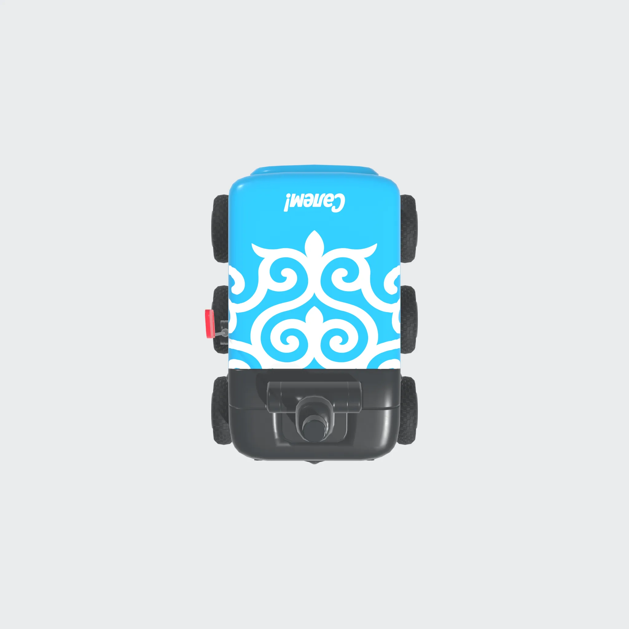 Robotaxi Launch